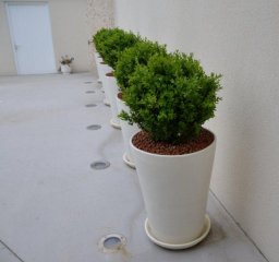 Scénarisation de nos poteries 