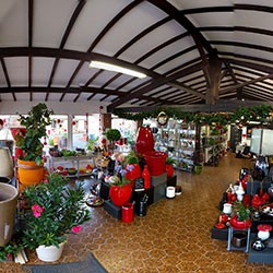 boutique poterie d'albi