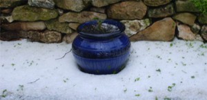 Pot Bleu de la collection spéciale grand Sud , les poteries d'Albi