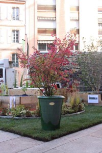 Lycée Agricole d'Albi Fonlabour 