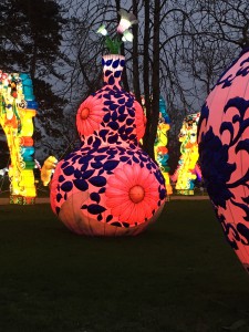 Festival des Lanternes à Gaillac