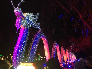 Festival des lanternes à Gaillac