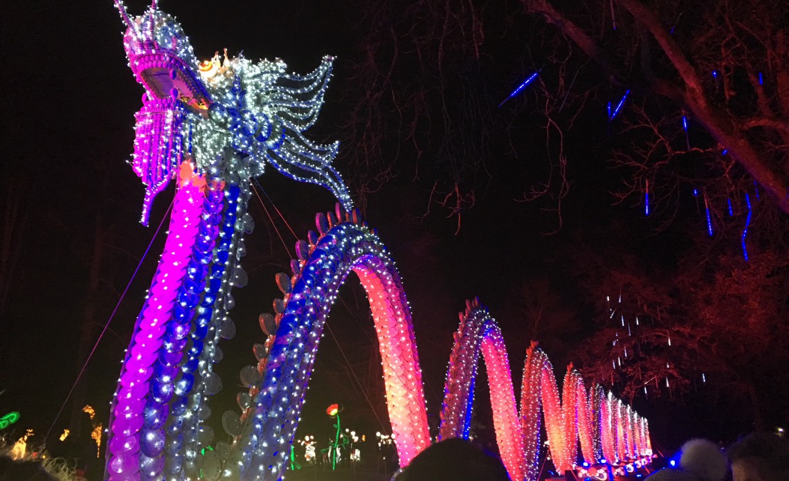 Festival des Lanternes à Gaillac